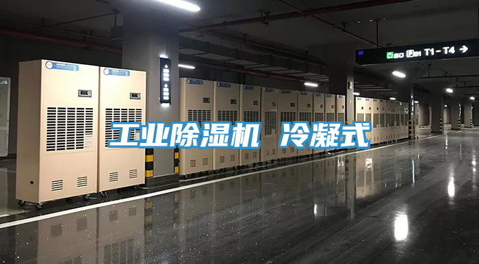 工業91看片软件大全 冷凝式