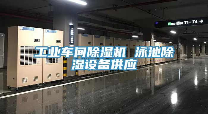 工業車間91看片软件大全 泳池除濕設備供應