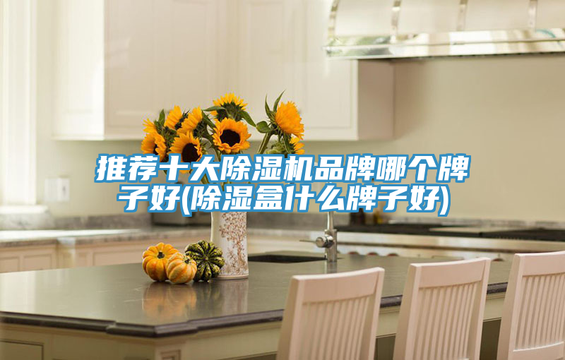 推薦十大91看片软件大全品牌哪個牌子好(除濕盒什麽牌子好)
