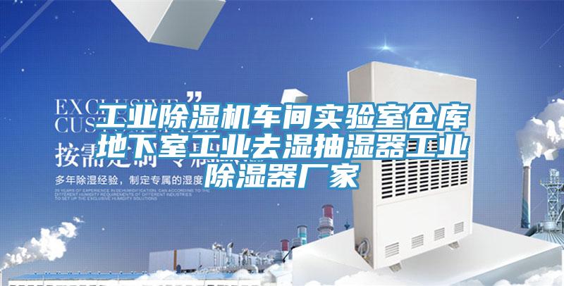 工業91看片软件大全車間實驗室倉庫地下室工業去濕抽濕器工業除濕器廠家