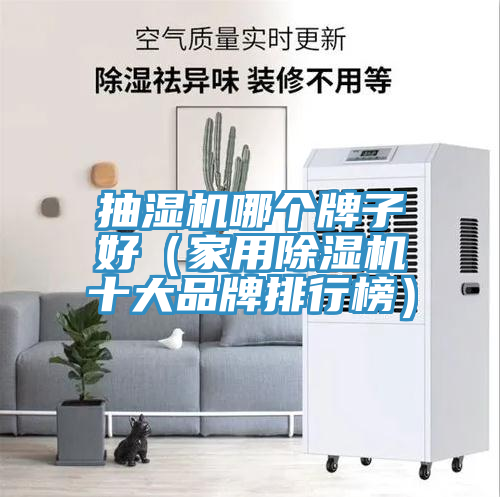 抽濕機哪個牌子好（家用91看片软件大全十大品牌排行榜）