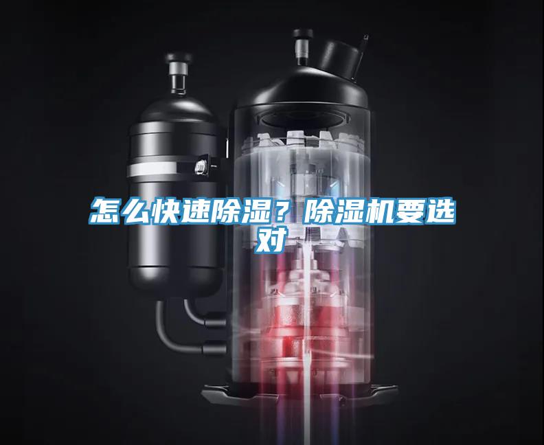 怎麽快速除濕？91看片软件大全要選對