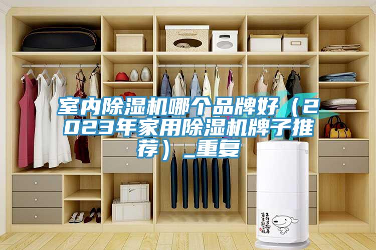 室內91看片软件大全哪個品牌好（2023年家用91看片软件大全牌子推薦）_重複