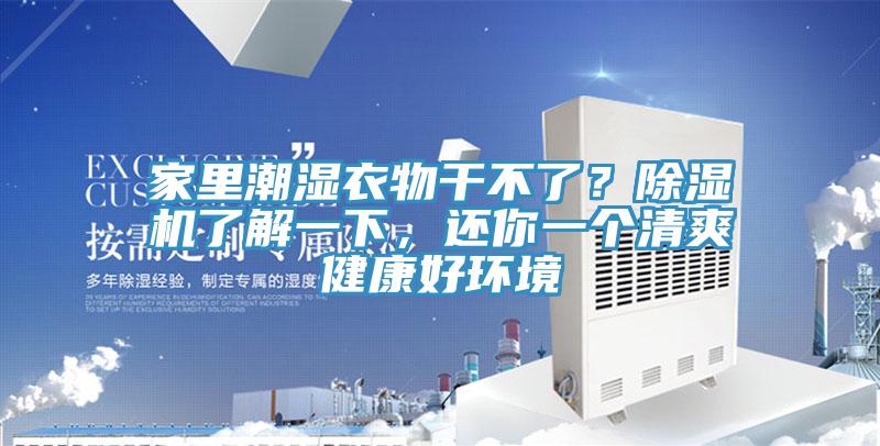 家裏潮濕衣物幹不了？91看片软件大全了解一下，還你一個清爽健康好環境