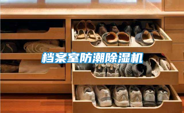 檔案室防潮91看片软件大全