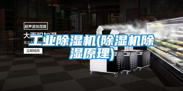 工業91看片软件大全(91看片软件大全除濕原理)
