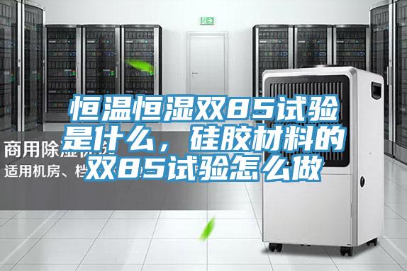 恒溫恒濕雙85試驗是什麽，矽膠材料的雙85試驗怎麽做