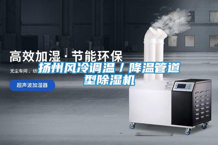 揚州風冷調溫／降溫管道型91看片软件大全