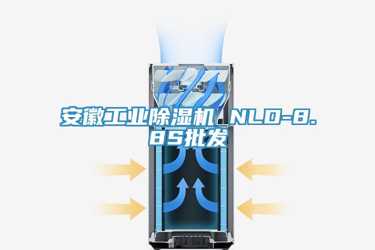 安徽工業91看片软件大全 NLD-8.8S批發