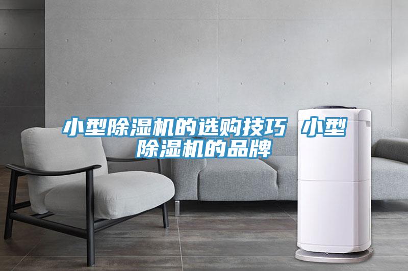 小型91看片软件大全的選購技巧 小型91看片软件大全的品牌