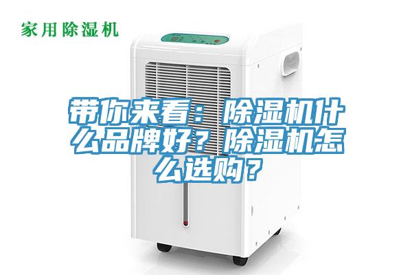 帶你來看：91看片软件大全什麽品牌好？91看片软件大全怎麽選購？