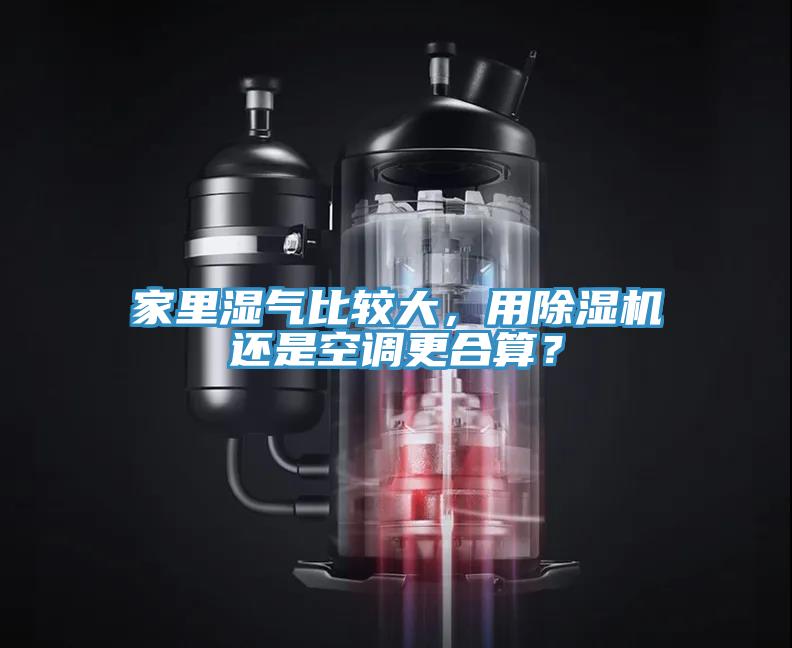 家裏濕氣比較大，用91看片软件大全還是空調更合算？
