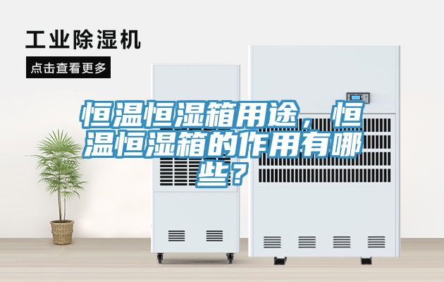 恒溫恒濕箱用途，恒溫恒濕箱的作用有哪些？