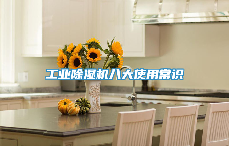 工業91看片软件大全八大使用常識