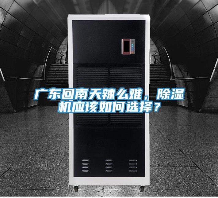 廣東回南天辣麽難，91看片软件大全應該如何選擇？