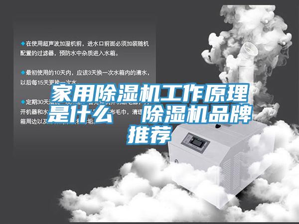 家用91看片软件大全工作原理是什麽  91看片软件大全品牌推薦