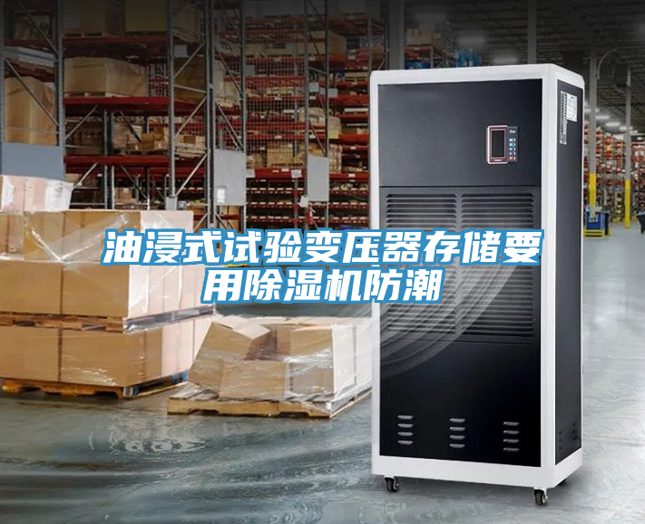 油浸式試驗變壓器存儲要用91看片软件大全防潮