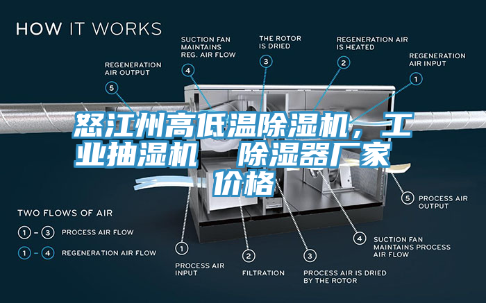 怒江州高低溫91看片软件大全，工業抽濕機  除濕器廠家 價格