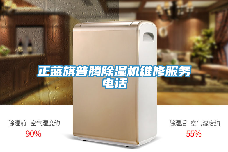 正藍旗普騰91看片软件大全維修服務電話