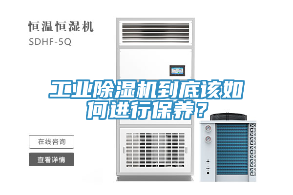 工業91看片软件大全到底該如何進行保養？