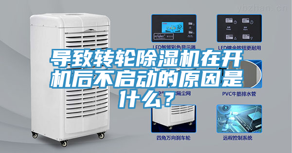 導致轉輪91看片软件大全在開機後不啟動的原因是什麽？