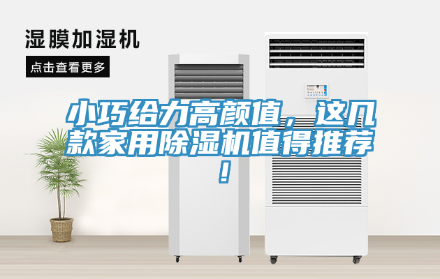 小巧給力高顏值，這幾款家用91看片软件大全值得推薦！