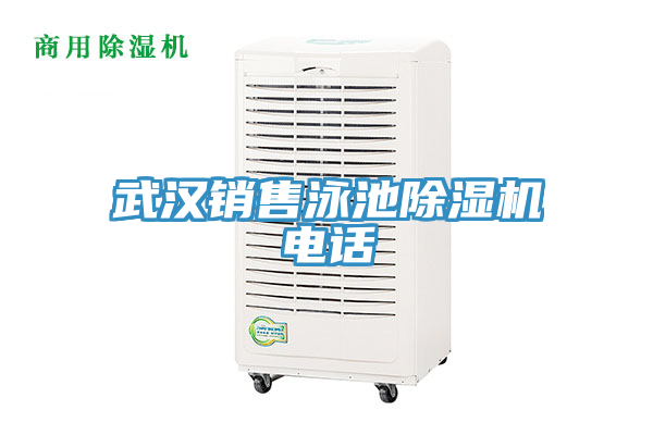 武漢銷售泳池91看片软件大全電話