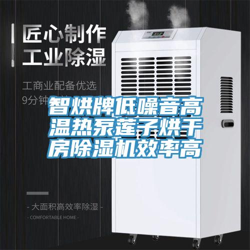 智烘牌低噪音高溫熱泵蓮子烘幹房91看片软件大全效率高