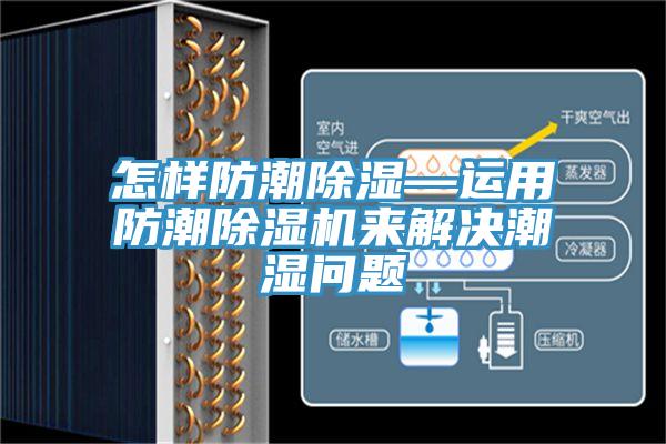 怎樣防潮除濕—運用防潮91看片软件大全來解決潮濕問題