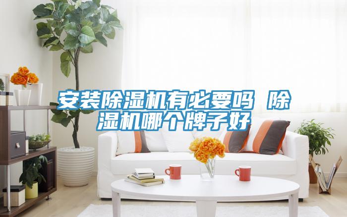 安裝91看片软件大全有必要嗎 91看片软件大全哪個牌子好