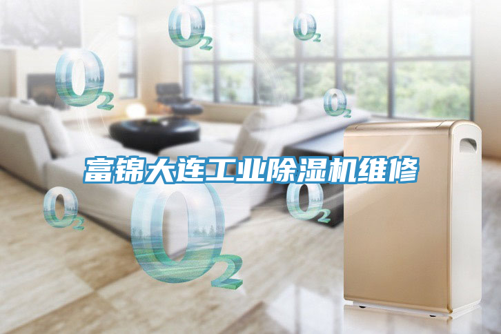富錦大連工業91看片软件大全維修