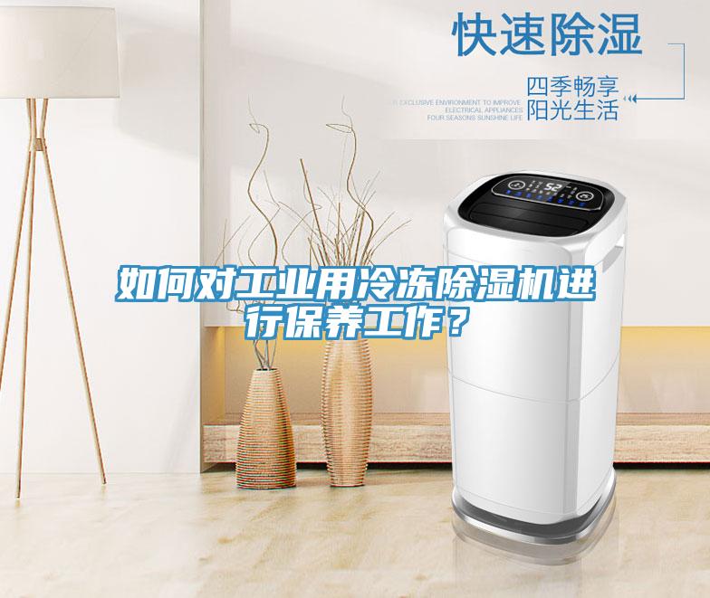 如何對工業用冷凍91看片软件大全進行保養工作？