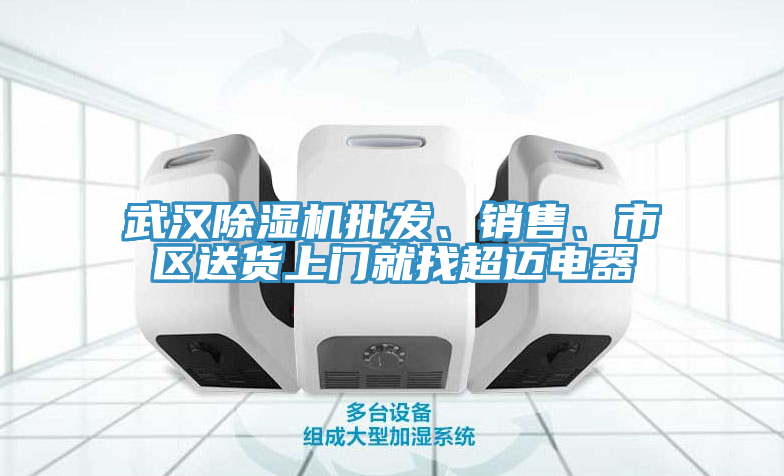 武漢91看片软件大全批發、銷售、市區送貨上門就找超邁電器