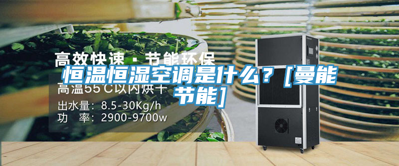 恒溫恒濕空調是什麽？[曼能節能]