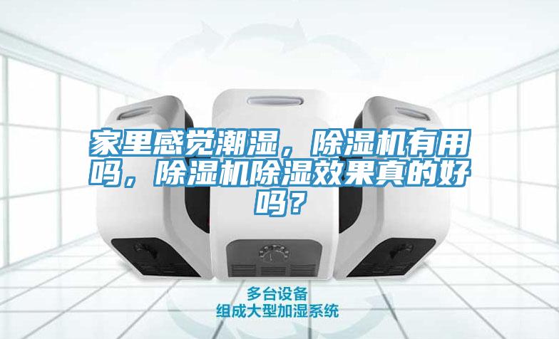 家裏感覺潮濕，91看片软件大全有用嗎，91看片软件大全除濕效果真的好嗎？