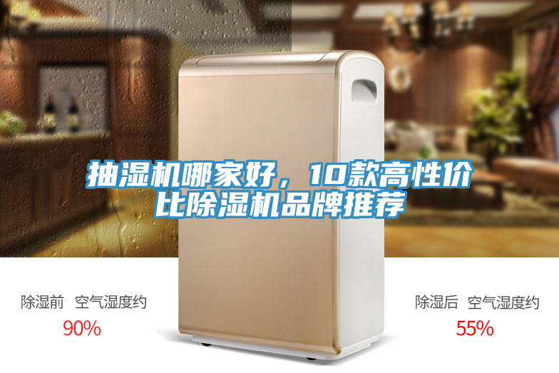 抽濕機哪家好，10款高性價比91看片软件大全品牌推薦