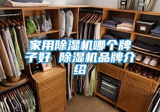 家用91看片软件大全哪個牌子好 91看片软件大全品牌介紹