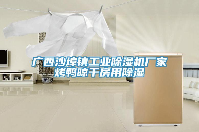 廣西沙埠鎮工業91看片软件大全廠家烤鴨晾幹房用除濕