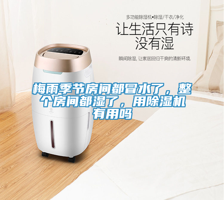 梅雨季節房間都冒水了，整個房間都濕了，用91看片软件大全有用嗎