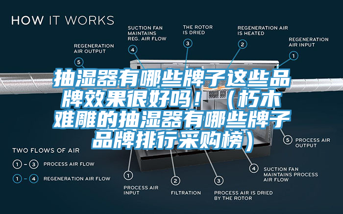 抽濕器有哪些牌子這些品牌效果很好嗎！（朽木難雕的抽濕器有哪些牌子品牌排行采購榜）