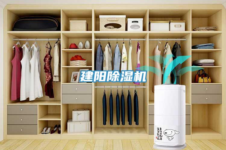 建陽91看片软件大全