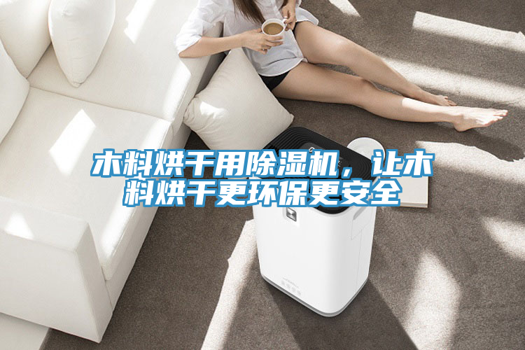 木料烘幹用91看片软件大全，讓木料烘幹更環保更安全