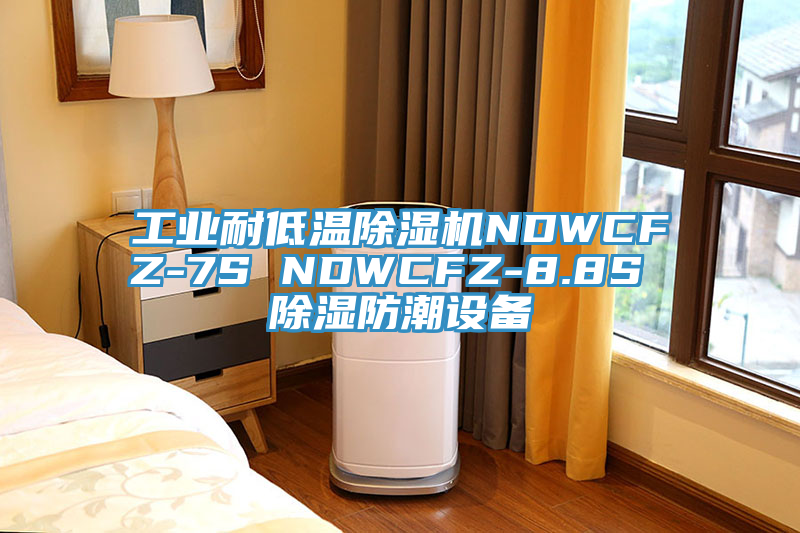 工業耐低溫91看片软件大全NDWCFZ-7S NDWCFZ-8.8S 除濕防潮設備