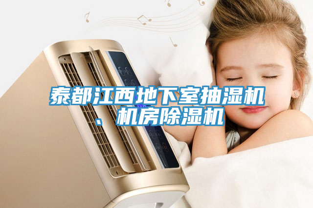 泰都江西地下室抽濕機、機房91看片软件大全