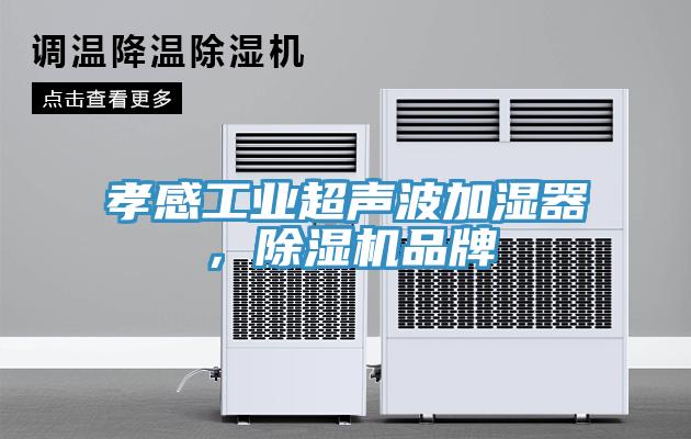 孝感工業超聲波加濕器，91看片软件大全品牌