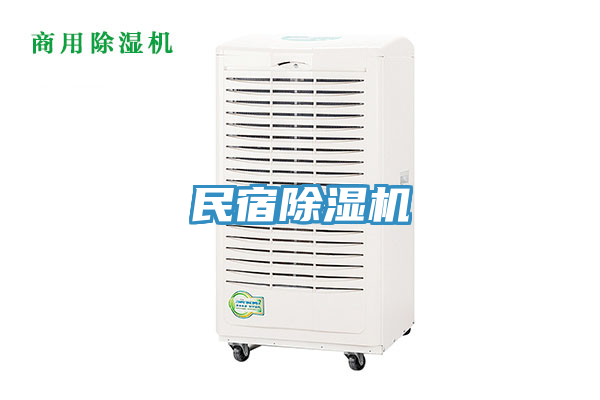 民宿91看片软件大全
