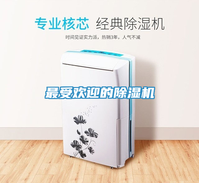 最受歡迎的91看片软件大全