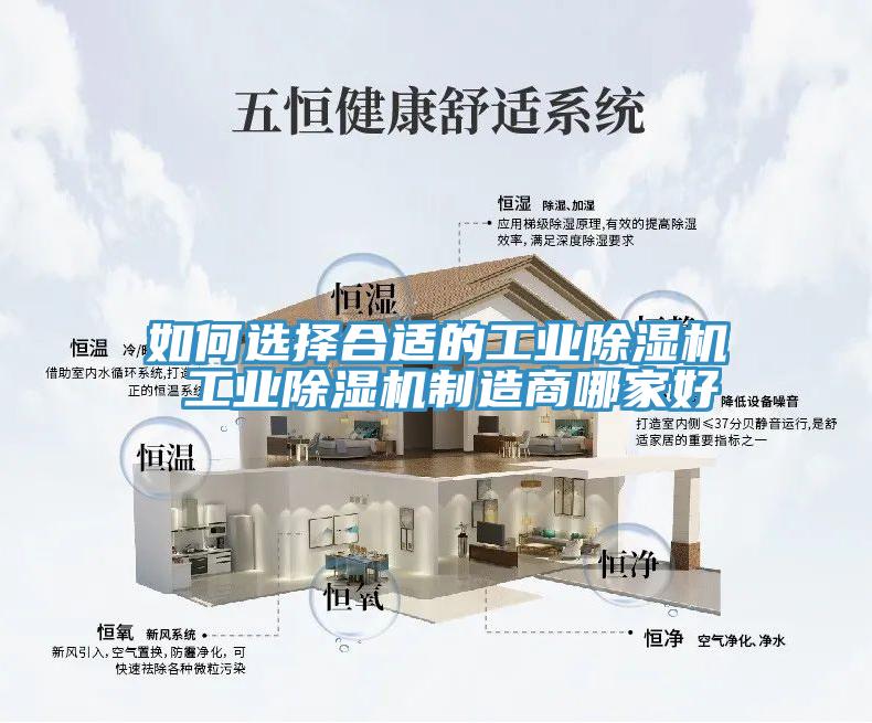如何選擇合適的工業91看片软件大全 工業91看片软件大全製造商哪家好