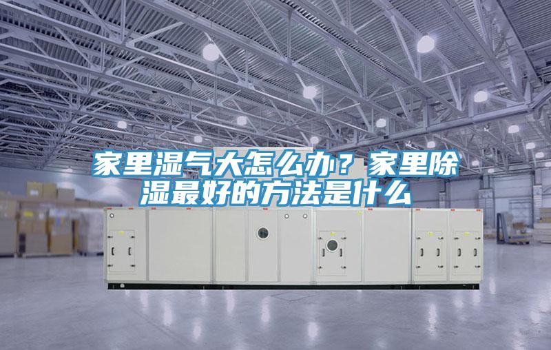 家裏濕氣大怎麽辦？家裏除濕最好的方法是什麽