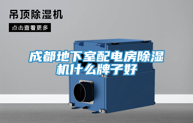 成都地下室配電房91看片软件大全什麽牌子好